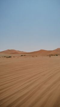 Namib W&uuml;ste