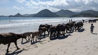 Selong Belanak Strand