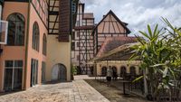 Colmar Tropicale