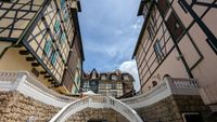 Colmar Tropicale