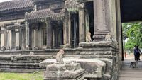 Angkor Wat