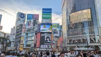 Shibuya Kreuzung