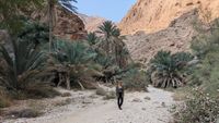 Wadi Shab