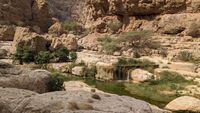 Wadi Shab - Faladsch