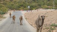 Zufahrt zum Wadi Darbat