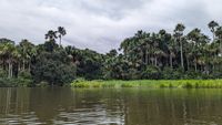 Lago Sandoval