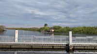 Airboat im Everglades-Nationalpark