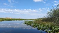 Everglades-Nationalpark